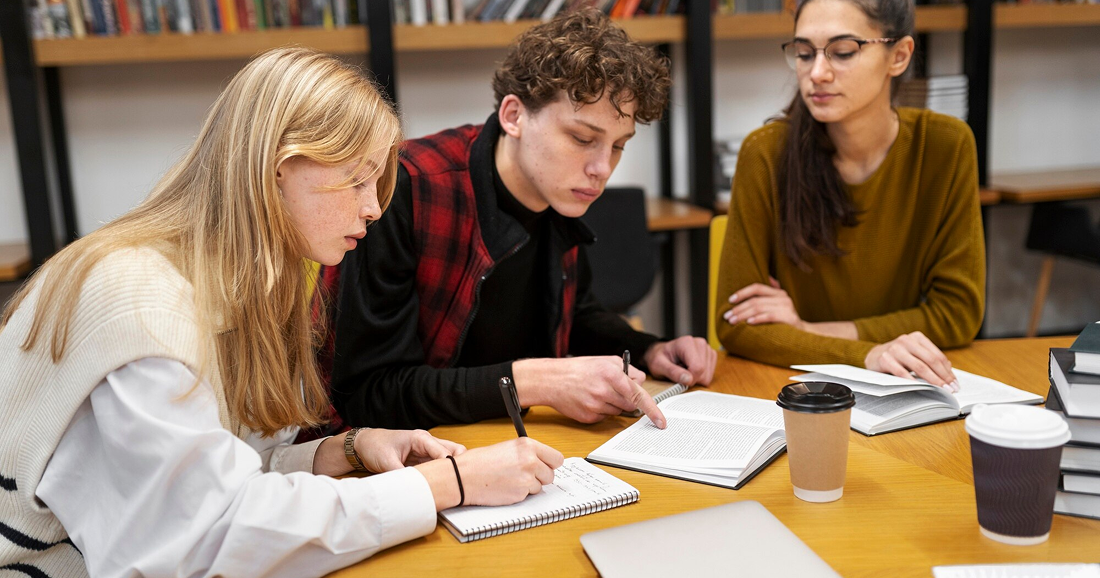 The Reasons Why Many Students Require Expert Essay Help